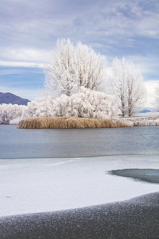 Hoar Frost, Twizel，新西兰